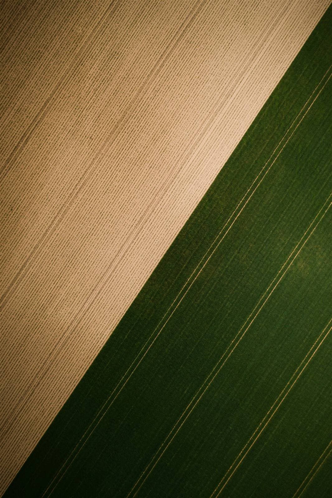 Green and harvested paddocks from above